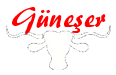 Güneşer Et
